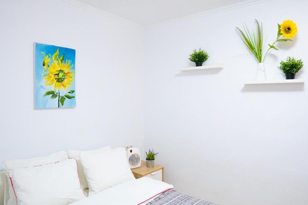 Sollana 18 Apartment Valencia Exterior photo
