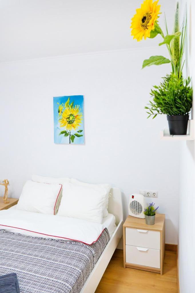 Sollana 18 Apartment Valencia Exterior photo